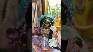 Sri Radha Madhava [upl. by Hachmann814]