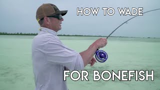 How To Wade Fish for Bonefish [upl. by Cy]