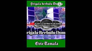 SRIGALA BERBULU DOMBA II KARAOKE II EVIETAMALAdangdut dangdutkaraoke shorts [upl. by Hernardo390]