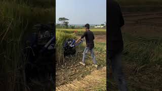 Dhaan Cutting new Machine 2025 riteshvlogsrv farming dhan agriculture shorts shortvideo short [upl. by Cheston]