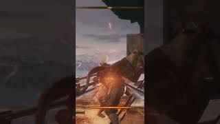 This Video Might Be Infuriating For Sekiro Players [upl. by Ennairak]