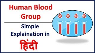 Human Blood Groups in Hindi  Human Anatomy and Physiology  Bhushan Science [upl. by Veda826]