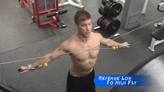 Reverse Cable Fly  Low To High ♠ Training For Pull Ups 101 [upl. by Komarek]