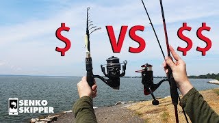 Save your Money Telescopic Fishing Rod VS Twopiece Fishing Rod [upl. by Oppen]