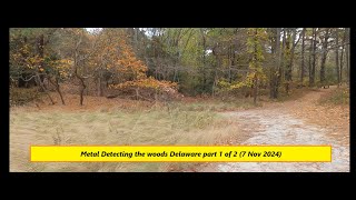 Metal Detecting the woods Delaware part 1 of 2 7 Nov 2024 [upl. by Nedaj]