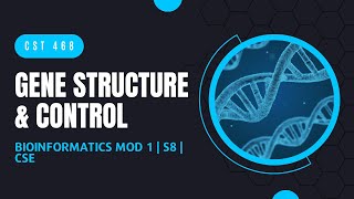 Gene Structure amp Control  CST468  Bioinformatics MODULE 1  KTU  Anna Thomas  SJCET [upl. by Dobson915]