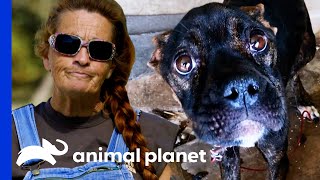 Tia’s Most Heart Warming Moments  Pit Bulls amp Parolees [upl. by Arbas]