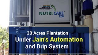 30 Acres Plantation Under Jains Automation and Drip System [upl. by Christis]