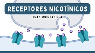 RECEPTORES NICOTÍNICOS Estimulantes y Bloqueantes Ganglionares  Farmacología [upl. by Statis957]