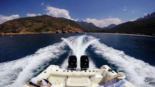 Surprise pendant la visite de Scandola et des Calanques de Piana avec le bateau lAlpana [upl. by Plante]