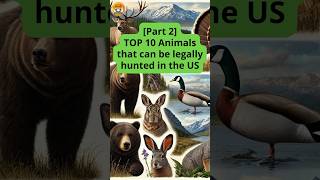 TOP 10 Animals that can be legally hunted in the US Part 2 [upl. by Bloch]