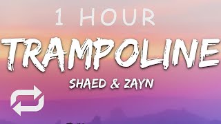 1 HOUR 🕐  SHAED x ZAYN  Trampoline Lyrics [upl. by Loring]