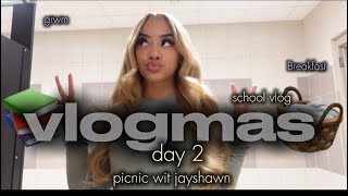 VLOGMAS DAY 2  we went on a picnic 🧺  school blog [upl. by Devinna517]