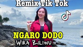 Lagu Nias RemixNgaro DodoWira Ziliwu [upl. by Anahpos]