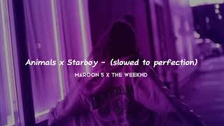 Animals x Starboy  slowed to perfection [upl. by Erodoeht]