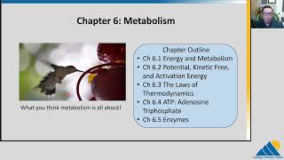 BIOL201 Ch61  Energy and Metabolism [upl. by Akcemat]