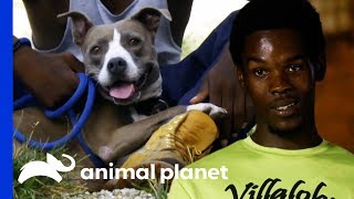 Spencer Has Turned His Life Around And Made His First Rescue  Pit Bulls amp Parolees [upl. by Evangelin]