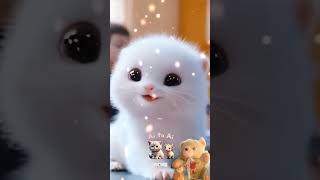 cat cute funny kitten shortvideos [upl. by Gnus]