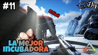 LA INCUBADORA PERFECTA – 11 ARK SURVIVAL EVOLVED  2023  GAMEPLAY ESPAÑOL [upl. by Nahtanohj]