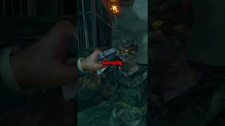 Craziest Glitch in CoD Zombies [upl. by Irahc904]