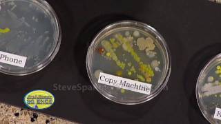 Growing Bacteria  Petri Dish [upl. by Naiviv766]