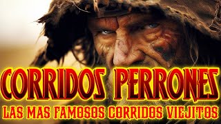 PUROS CORRIDOS PERRONES  LAS MAS FAMOSOS CORRIDOS VIEJITOS NORTEÑOS [upl. by Beck]