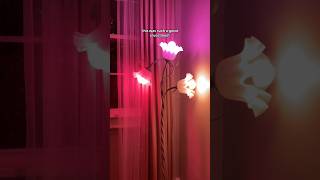 Setting up my flower lamp unboxing lighting homedecor floorlamp flowerlamp cozylights [upl. by Nnilsia]