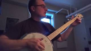 Wildwood Flower  2Finger Style Banjo [upl. by Ahsiet727]