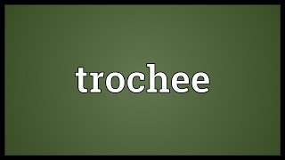 Trochee Meaning [upl. by Augustin]