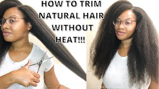 How To Trim Natural Hair To Retain Length  Protective Style Challenge 20 [upl. by Avi]