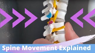 Biomechanics of the spine lateral flexion [upl. by Ylhsa]