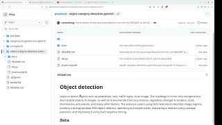 Chapter 0 Importing Data  Object Detection in PyTorch  Computer Vision  Machine Learning [upl. by Mitchell362]