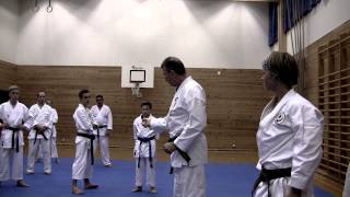 Wado Ryu Details of sanbon gumite jodan uke 4 [upl. by Berke]