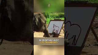 Léléphant le plus intelligent au monde [upl. by Alemac]