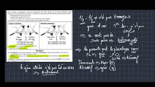 correction de lexercice les lois statistique génétique Mendélienne [upl. by Attenej]