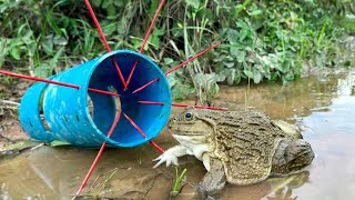 Survival skills simple and useful with PVC and Wood Frog traps survivalbushcraftcampingoutdoors [upl. by Mignonne]