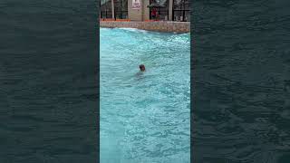 2024 Wilderness wisconsin dells wave pool [upl. by Sparhawk700]