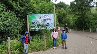 Marwell Zoo with my cousins [upl. by Ayel700]