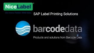 NiceLabels SAP Label Printing Solutions [upl. by Nettie]