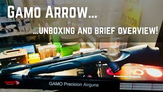 First look at my new Gamo Arrow PCP in 22 cal [upl. by Selym]