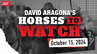 Horses to Watch  October 15 2024 [upl. by Lihp]