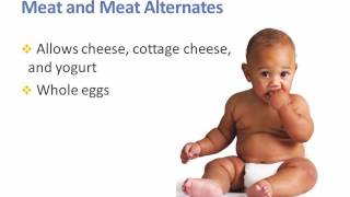 CACFP Meal Patterns Final Rule Captioned [upl. by Shuman836]