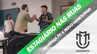 ESTAGIÁRIO NAS RUAS  UniCesumar  Maringá FC x Novo Hamburgo  Série D [upl. by Grata]