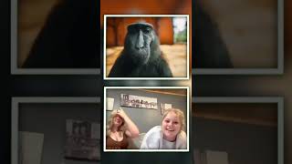 Monkey Rizz 😂 rizz omegle tiktok [upl. by Nytsyrk]