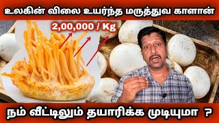 World Costliest Cordyceps Militaris Mushroom In Tamil I விலை உயர்ந்த காளான் I RAVIKUMAR I SR I Tamil [upl. by Asin]