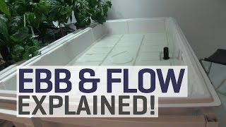 Ebb and Flow Hydroponics Explained [upl. by Dolf562]