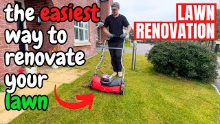 A Simple LAWN RENOVATION Guide  An Easy Approach to Lawn Care [upl. by Leod]