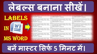 Ms Word me Labels kaise banaye  How to create Labels in Ms Word in Hindi [upl. by Zolly380]