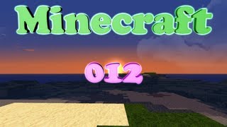 Lets Play Minecraft 012  Das Haus nimmt Gestalt an [upl. by Nonnahsed419]