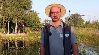 Natur im Garten auf der Gartenbaumesse [upl. by Geier]